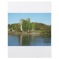 Menlo Castle Flyers