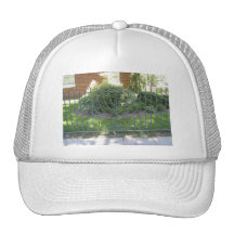 Menorah Fence Trucker Hats