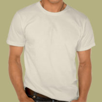 Mens Organic T-Shirt