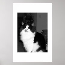 Meow Appetit! Poster