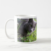 meow meow meow summer kitty cat coffee mugs