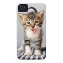 Meowing Kitten iPhone Case Case-Mate iPhone 4 Cases