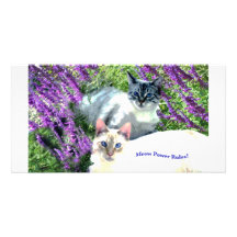 Meows Rule Card Custom Photo Card