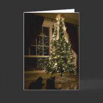 Meowy Christmas cards