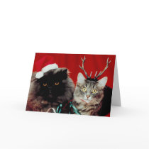 Meowy Christmas card