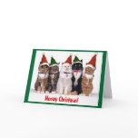 "Meowy Christmas!" Cats Greeting Card