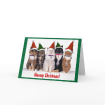 "Meowy Christmas!" Cats