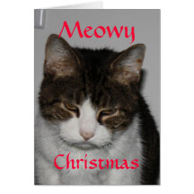 Meowy Christmas - Cat's Holiday Greeting Card