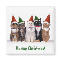 "Meowy Christmas!" Cats In Hats