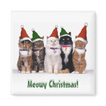 "Meowy Christmas!" Cats In Hats magnets