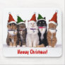 "Meowy Christmas!" Cats In Hats