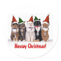 "Meowy Christmas!" Cats In Hats