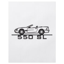 Mercedes 550 SL Type 230 Flyers