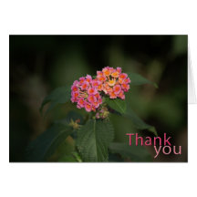 Merci - Lantana Carte De Vœux