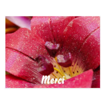 Merci Postcard