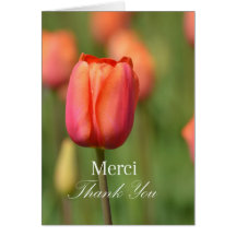 Merci Thank You Pink Tulip Card