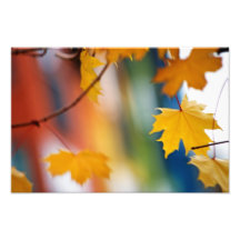 Meridian Fall. Art Photo