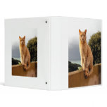 Merlin on the garden wall vinyl binders
