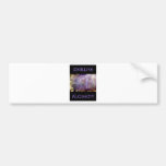 MERLINS ALCHEMY BUMPER STICKERS