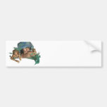 Mermaid Reflections Bumper Sticker
