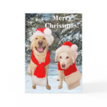 Merrry Christmas Card