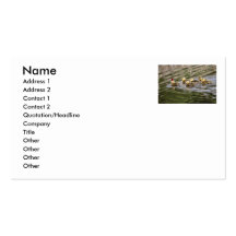 Merry Christmas Baby Geese Business Card
