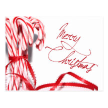 Merry Christmas Candy Canes Postcard