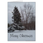 Merry Christmas Card