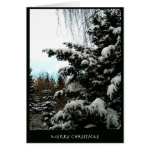 Merry Christmas Cards