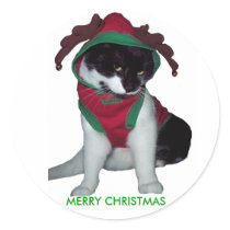MERRY CHRISTMAS CAT STICKER