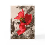 Merry Christmas - Christmas Card