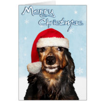 Merry Christmas Dachshund Card
