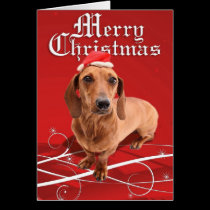 Merry Christmas Dachshund Card cards