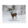 Merry Christmas Deer Post Cards