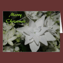 Merry Christmas Flower cards