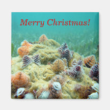 Merry Christmas Fridge Magnets