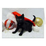 Merry Christmas from Joon (The Rescue Kitty) . Greeting Cards