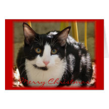 Merry Christmas from Justin Greeting Card