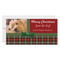 "Merry Christmas from the Dog!" Photo Cards