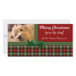 "Merry Christmas from the Dog!" photo cards