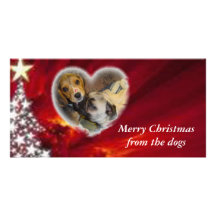 Merry Christmas from the dogs Custom Photo Card