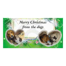 Merry Christmas from the dogs Photo Greeting Card