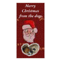 Merry Christmas from the dogs Photo Greeting Card