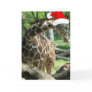 Merry Christmas/Giraffe