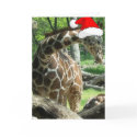 Merry Christmas/Giraffe cards