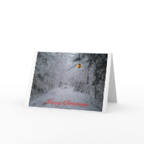 Merry Christmas greeting card
