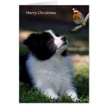 Merry Christmas Greeting Cards