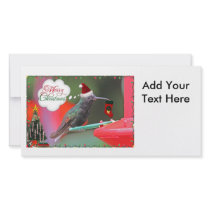 Merry Christmas Hummingbird Photo Cards