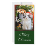Merry Christmas Kitten Photo Card