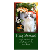 Merry Christmas Kitten Photo Card w/verse